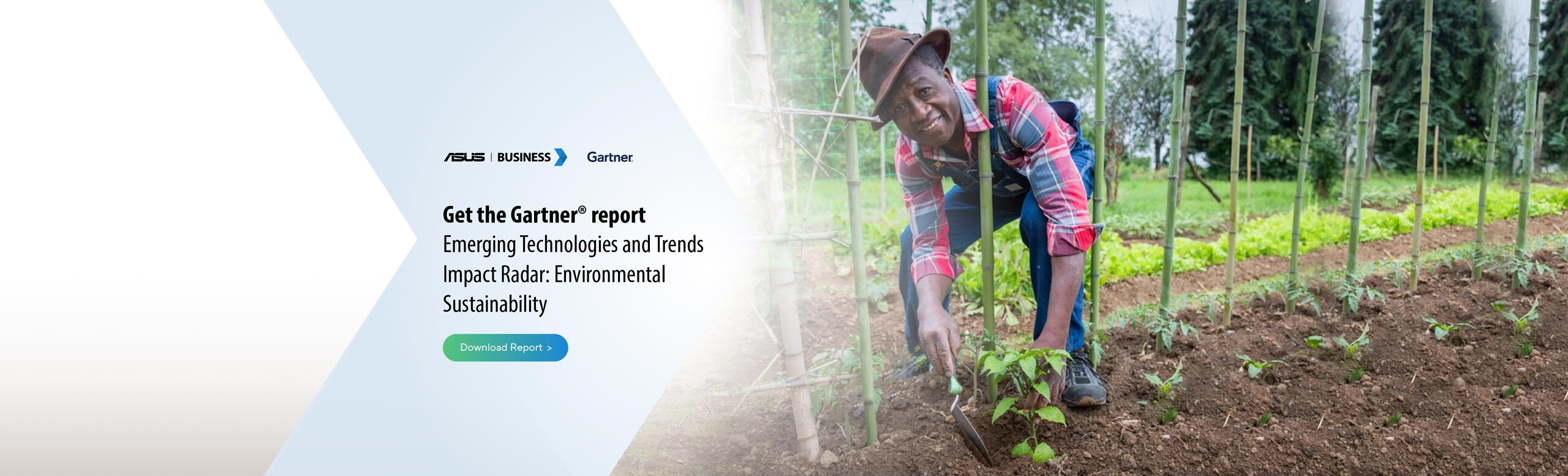 Gartner report