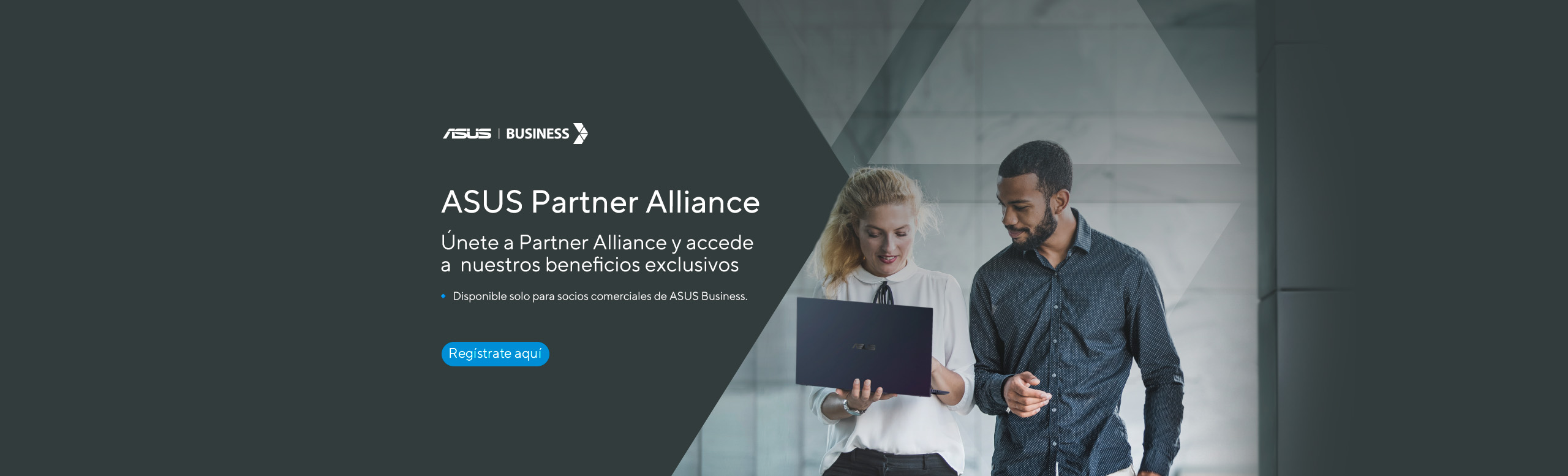 Partner Alliance Peru