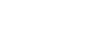 G.SKILL logo