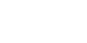 LIAN LI logo